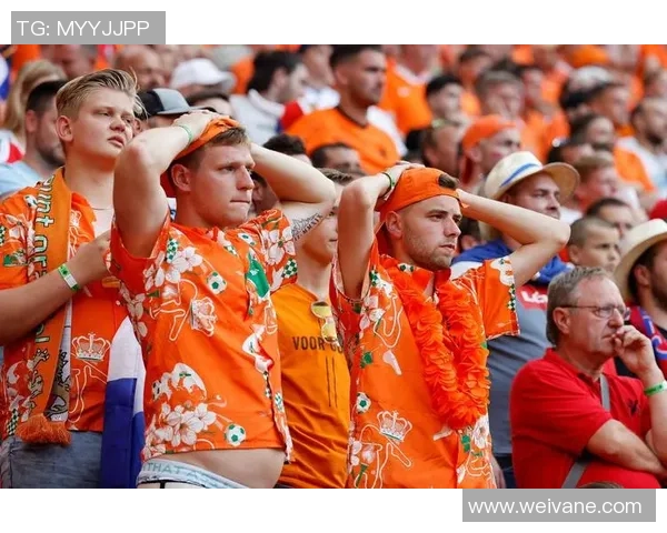 足球明星艺术创作展现荷兰风情的精彩瞬间