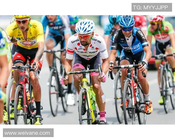 重庆排球队在洲际杯积分榜上以58分稳居第一名展现强劲实力 重庆排球队在洲际杯积分榜上以58分稳居第一名展现强劲实力