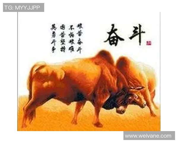 西安乒乓球队的崛起之路:亚运会背后的奋斗与荣耀 西安乒乓球队的崛起之路:亚运会背后的奋斗与荣耀