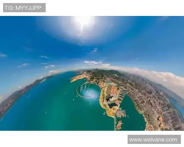 深圳排球队逆袭之旅揭秘：从低谷到巅峰的选拔赛特别报道